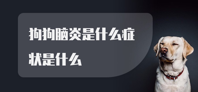 狗狗脑炎是什么症状是什么