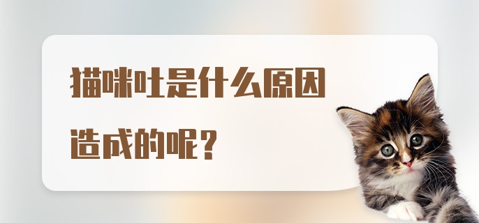 猫咪吐是什么原因造成的呢？