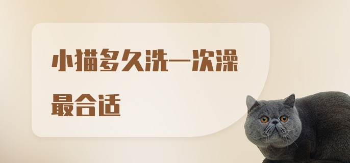 小猫多久洗一次澡最合适