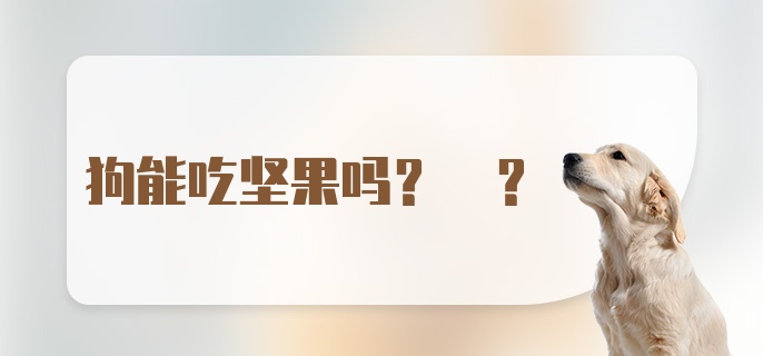 狗能吃坚果吗? ?