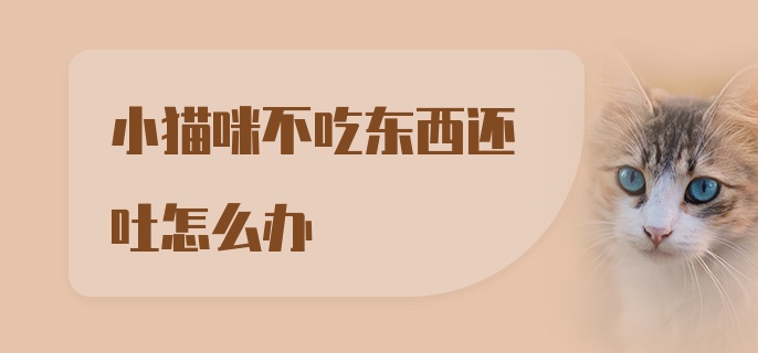 小猫咪不吃东西还吐怎么办