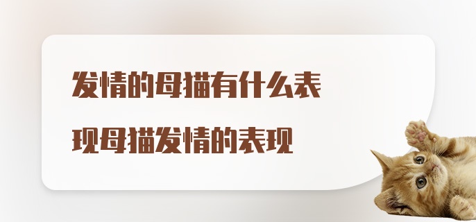 发情的母猫有什么表现母猫发情的表现