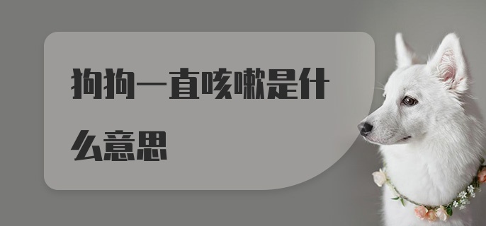 狗狗一直咳嗽是什么意思