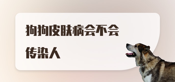 狗狗皮肤病会不会传染人