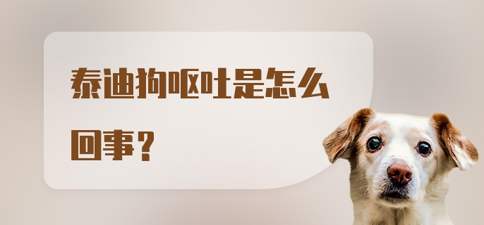 泰迪狗呕吐是怎么回事?