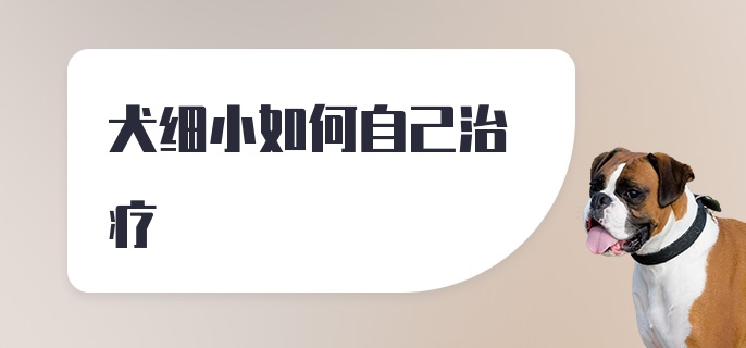 犬细小如何自己治疗