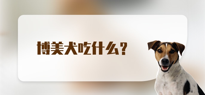 博美犬吃什么？