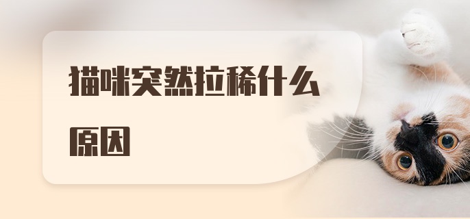 猫咪突然拉稀什么原因