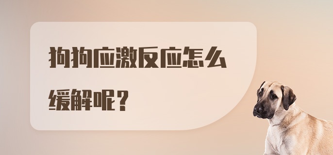 狗狗应激反应怎么缓解呢？