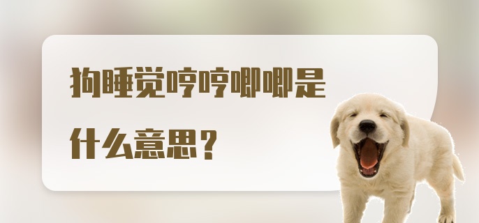 狗睡觉哼哼唧唧是什么意思？