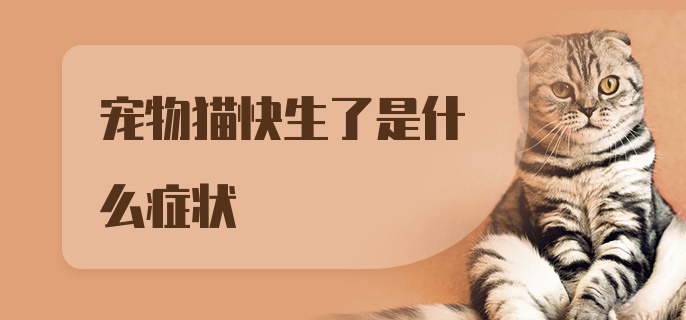 宠物猫快生了是什么症状