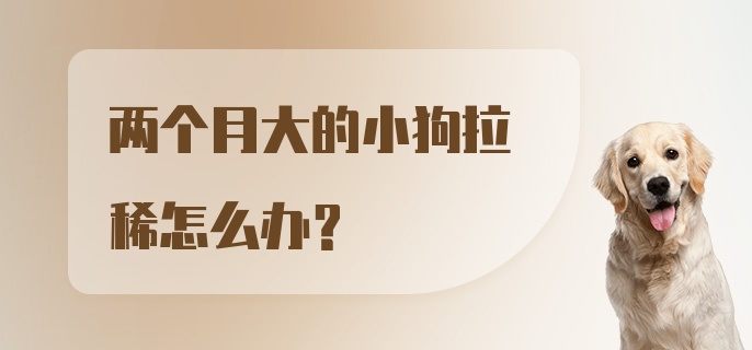 两个月大的小狗拉稀怎么办？