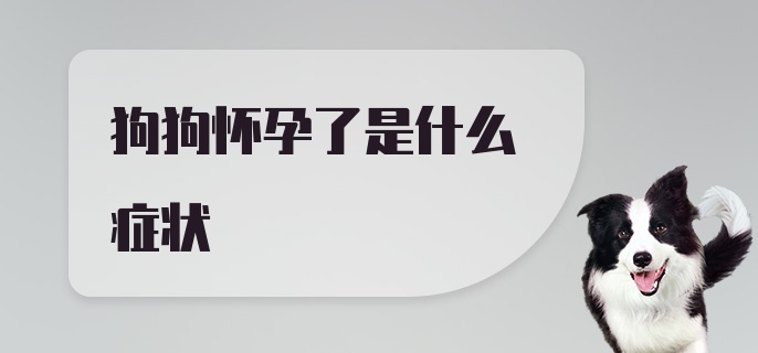 狗狗怀孕了是什么症状