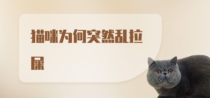 猫咪为何突然乱拉屎