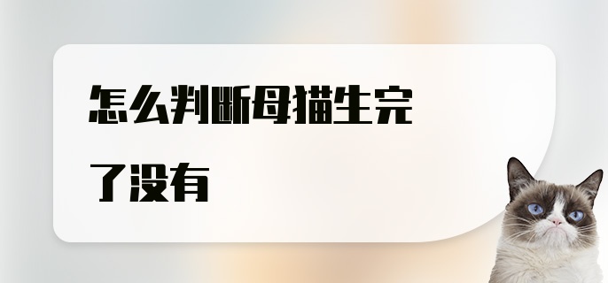 怎么判断母猫生完了没有