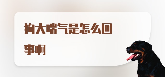 狗大喘气是怎么回事啊