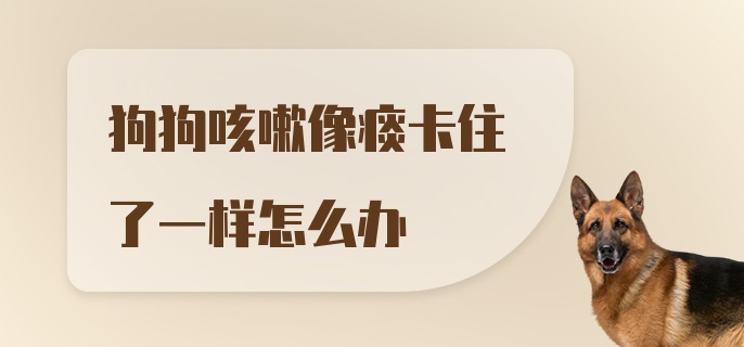 狗狗咳嗽像痰卡住了一样怎么办