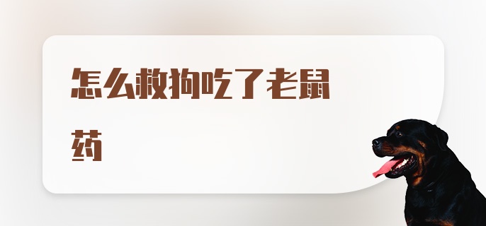 怎么救狗吃了老鼠药