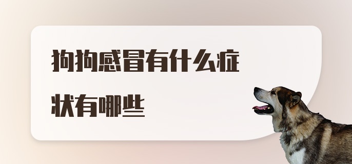 狗狗感冒有什么症状有哪些