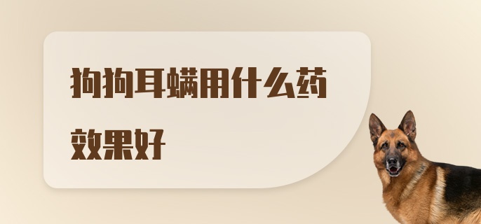 狗狗耳螨用什么药效果好