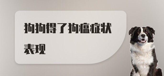 狗狗得了狗瘟症状表现