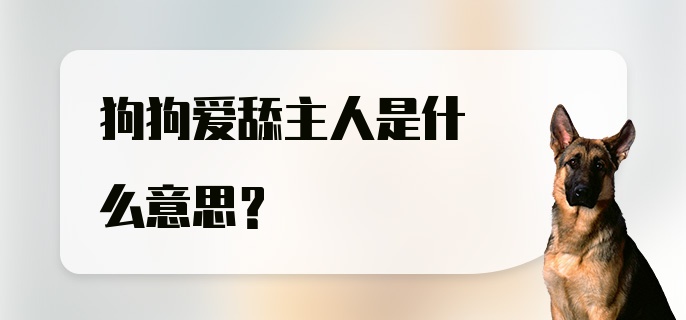 狗狗爱舔主人是什么意思？