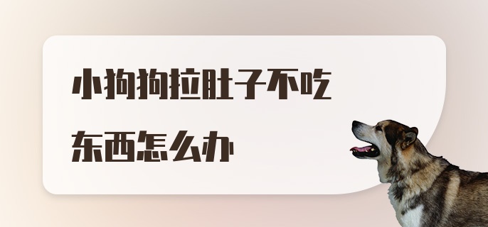 小狗狗拉肚子不吃东西怎么办