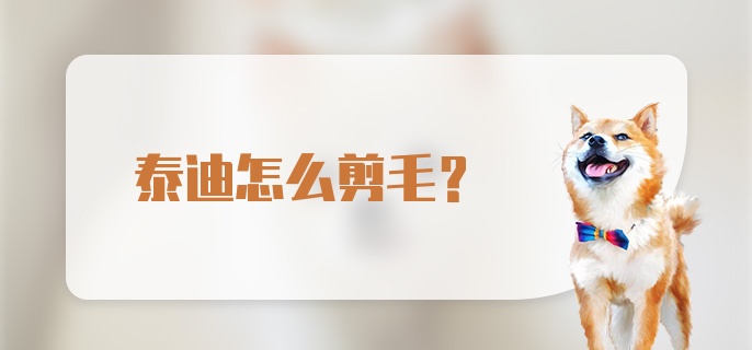 泰迪怎么剪毛？