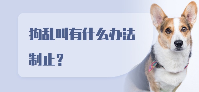 狗乱叫有什么办法制止?