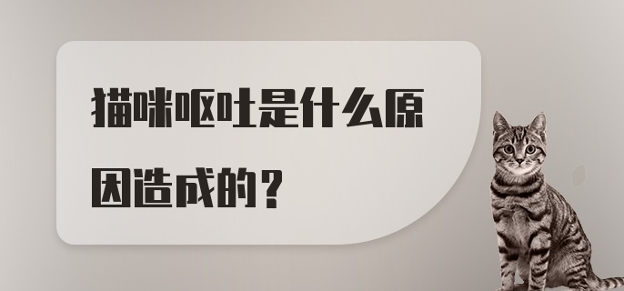 猫咪呕吐是什么原因造成的？