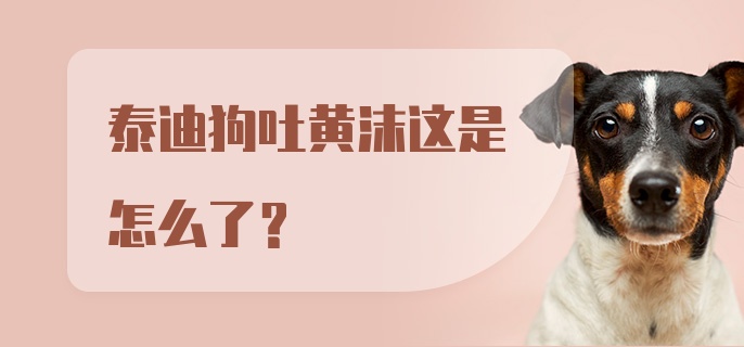 泰迪狗吐黄沫这是怎么了?