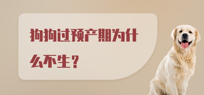 狗狗过预产期为什么不生？