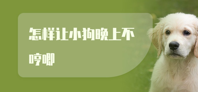 怎样让小狗晚上不哼唧