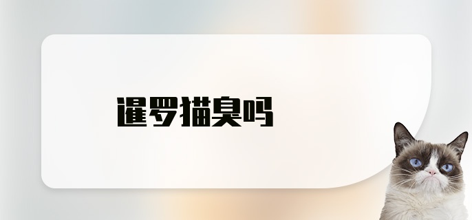 暹罗猫臭吗