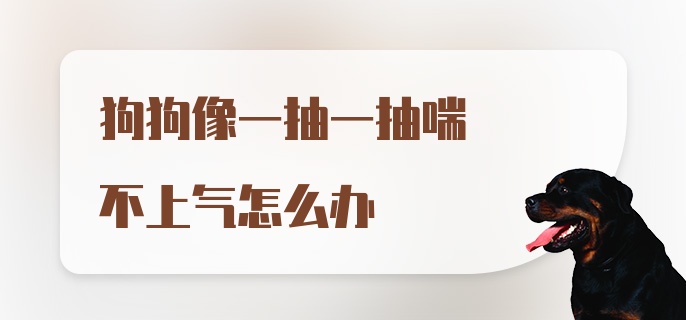 狗狗像一抽一抽喘不上气怎么办