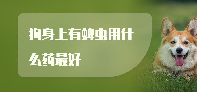 狗身上有蜱虫用什么药最好