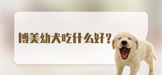 博美幼犬吃什么好？