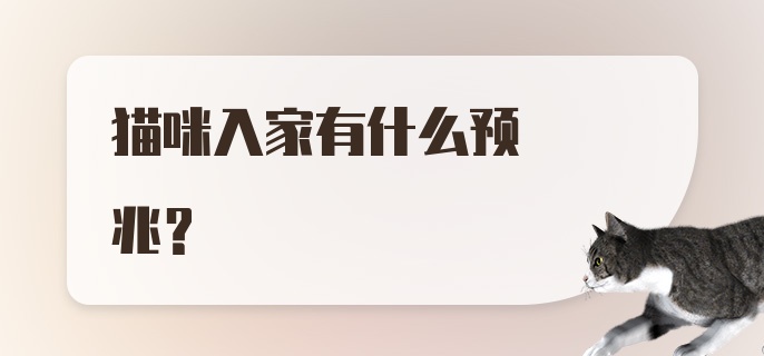 猫咪入家有什么预兆？