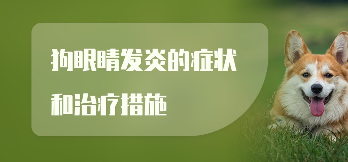 狗眼睛发炎的症状和治疗措施