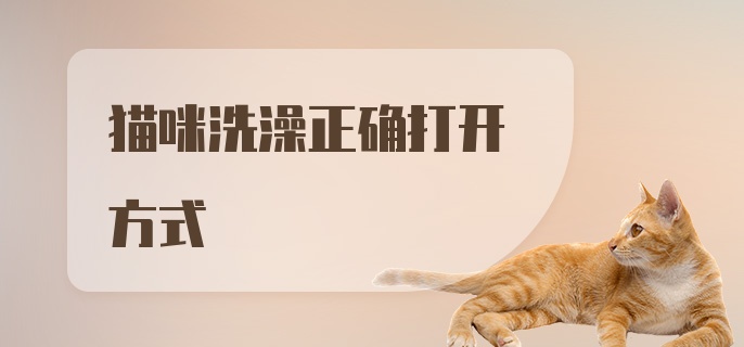 猫咪洗澡正确打开方式