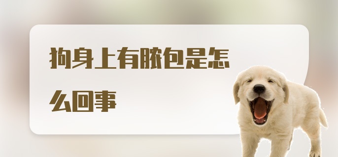 狗身上有脓包是怎么回事