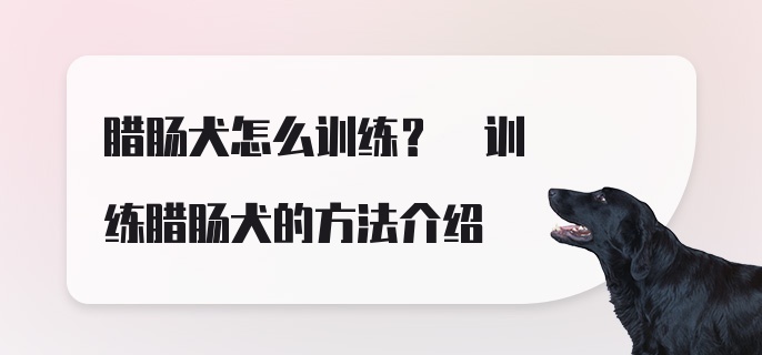 腊肠犬怎么训练? 训练腊肠犬的方法介绍