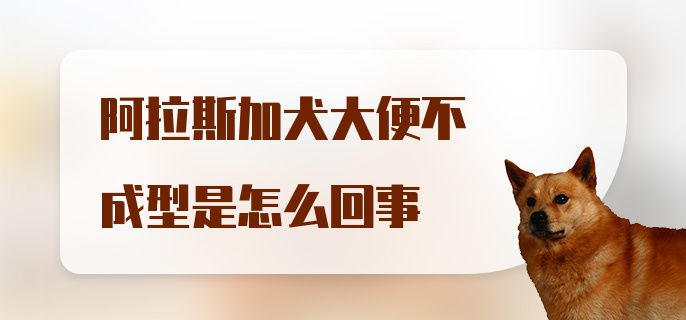 阿拉斯加犬大便不成型是怎么回事