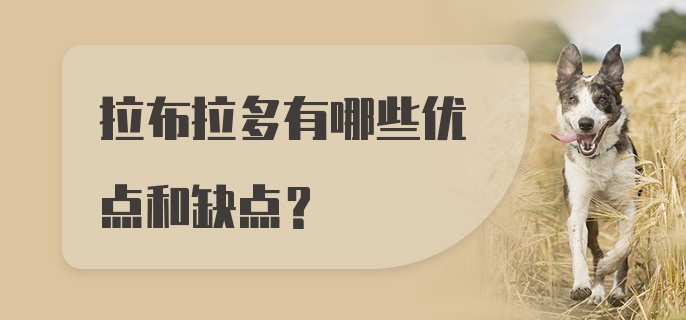 拉布拉多有哪些优点和缺点？