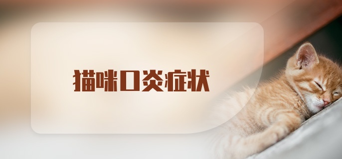 猫咪口炎症状