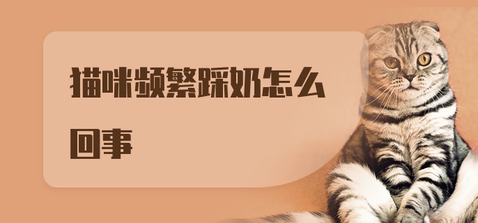 猫咪频繁踩奶怎么回事