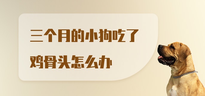 三个月的小狗吃了鸡骨头怎么办