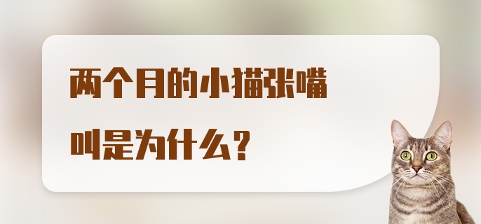 两个月的小猫张嘴叫是为什么？