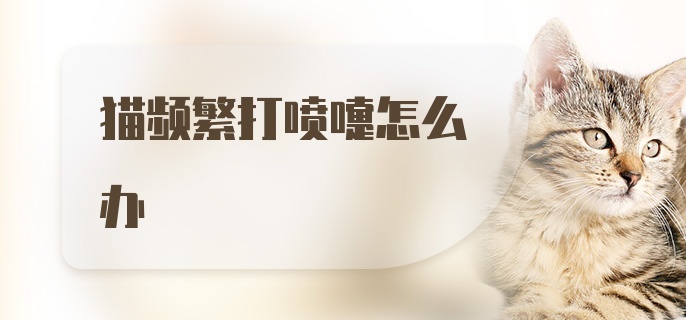 猫频繁打喷嚏怎么办