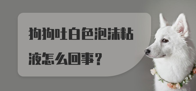 狗狗吐白色泡沫粘液怎么回事？